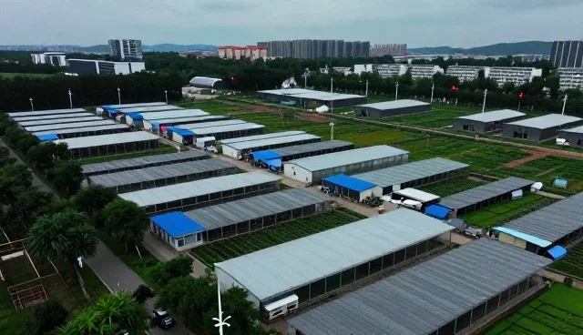 康复指导服务选型中技术融合的关键考量